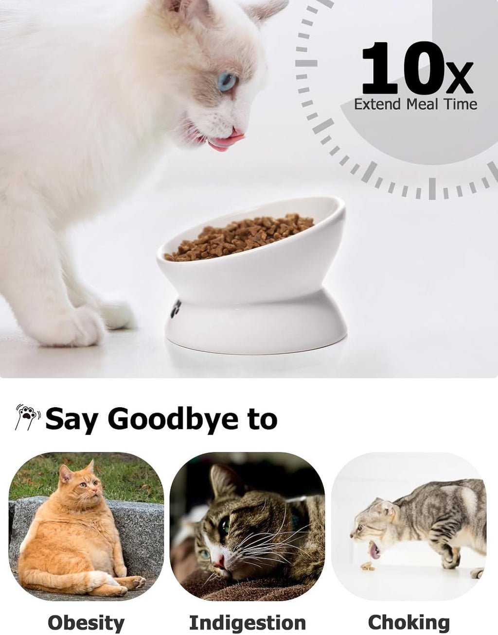 Elevated Ceramic Cat Bowl for Flat-Faced Cats and Small Dogs, Anti-Vomiting Design, Dishwasher Safe, 5 Inches, White