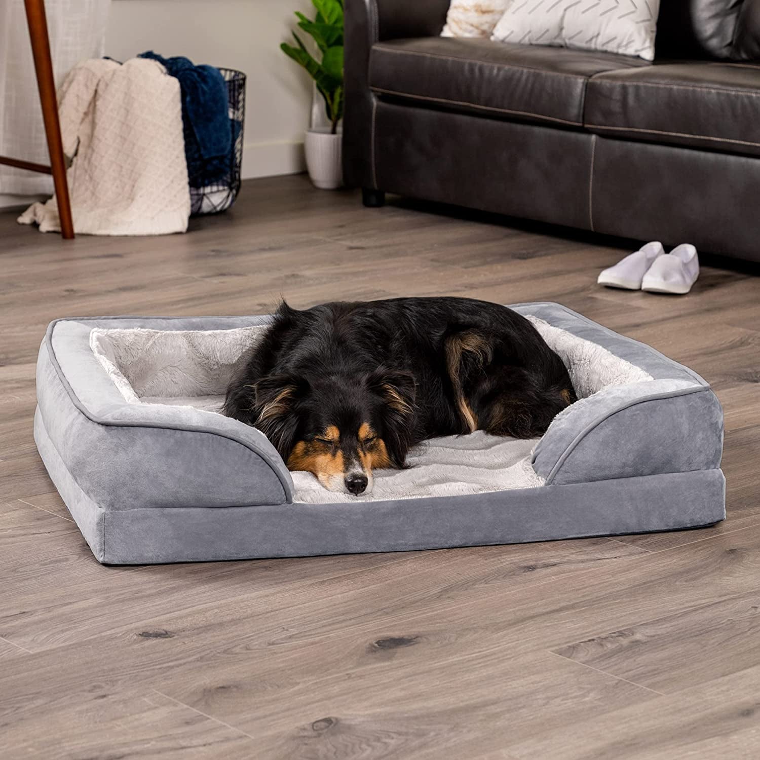 Orthopedic Foam Dog Bed with Washable Velvet Cover - Granite Gray, for Dogs up to 55 lbs - Large Size