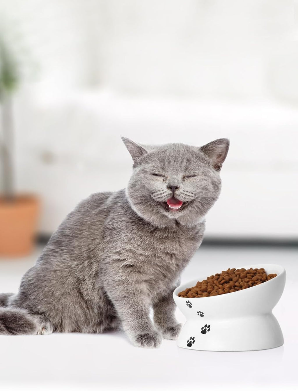 Elevated Ceramic Cat Bowl for Flat-Faced Cats and Small Dogs, Anti-Vomiting Design, Dishwasher Safe, 5 Inches, White