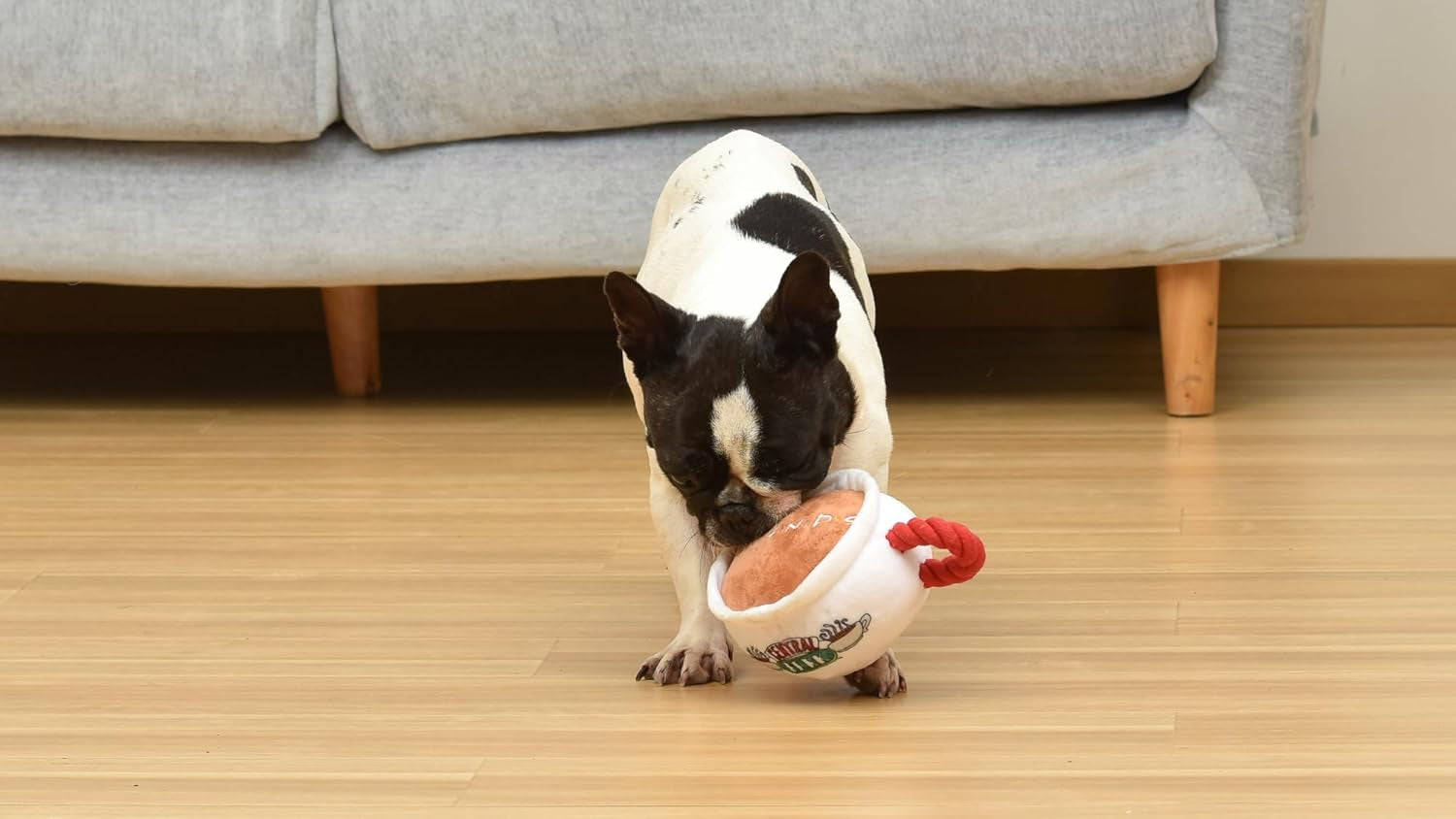 Central Perk Coffee Mug Plush Dog Toy with Rope Handle | Soft Squeaky Toy for Dogs | Stuffed Dog Toy with Squeaker for Added Entertainment, Friends Collectible