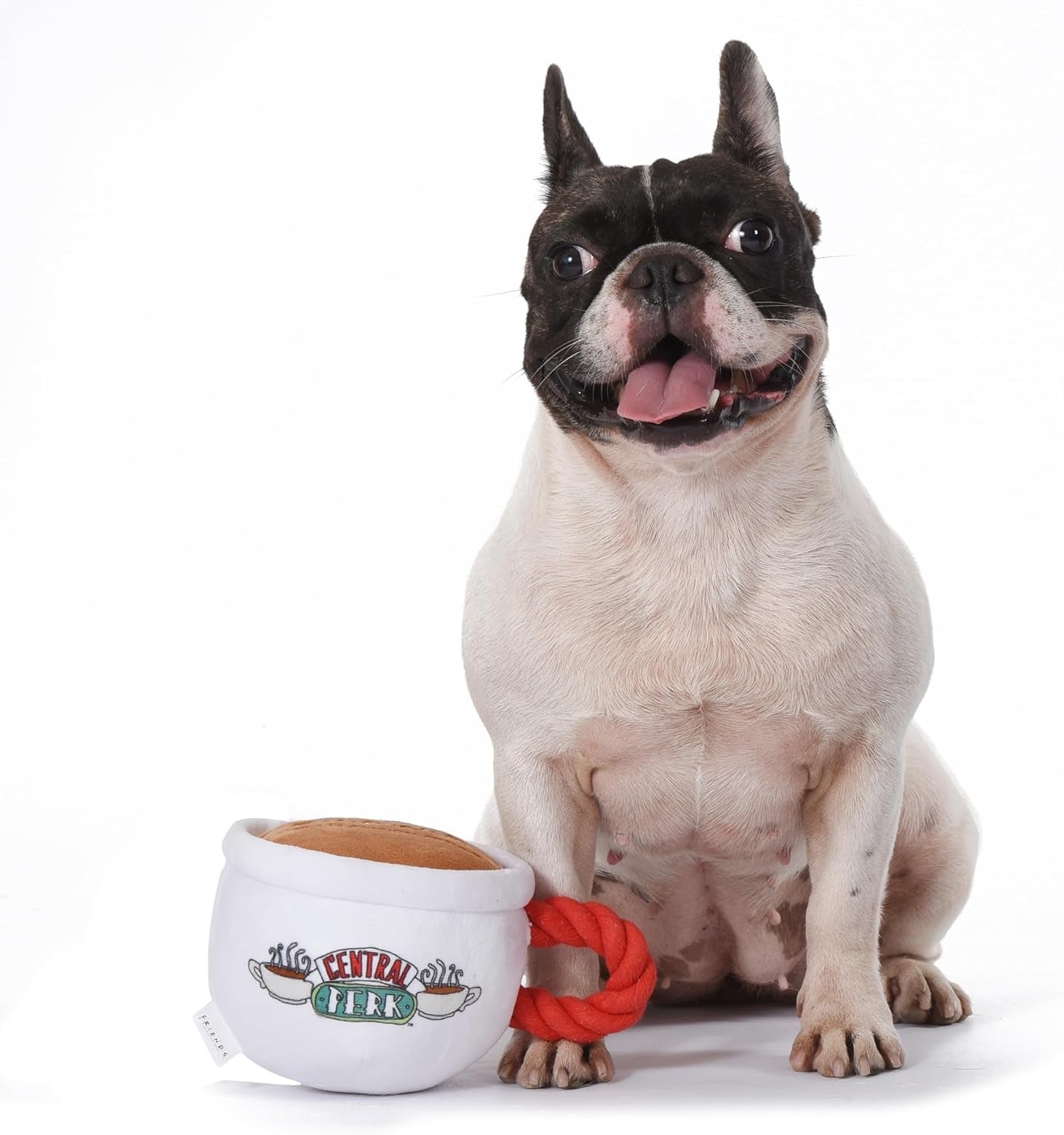 Central Perk Coffee Mug Plush Dog Toy with Rope Handle | Soft Squeaky Toy for Dogs | Stuffed Dog Toy with Squeaker for Added Entertainment, Friends Collectible