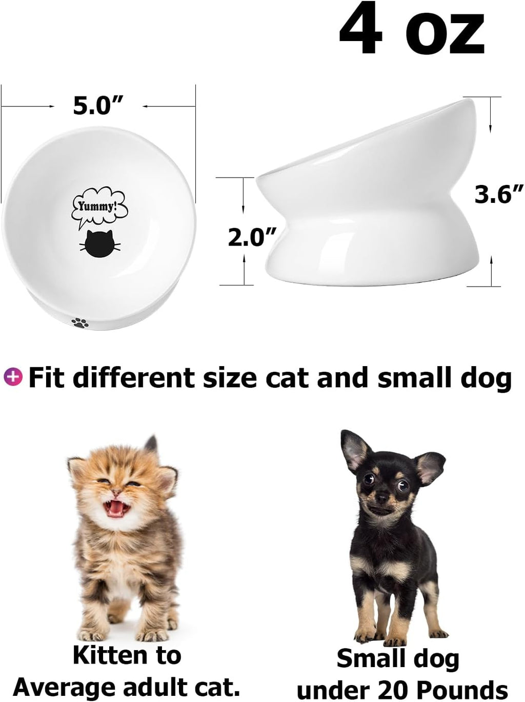 Elevated Ceramic Cat Bowl for Flat-Faced Cats and Small Dogs, Anti-Vomiting Design, Dishwasher Safe, 5 Inches, White
