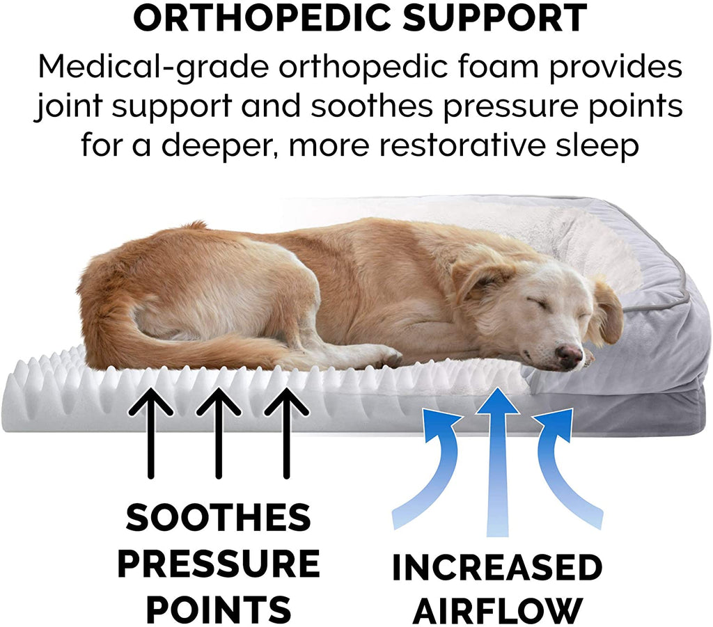 Orthopedic Foam Dog Bed with Washable Velvet Cover - Granite Gray, for Dogs up to 55 lbs - Large Size