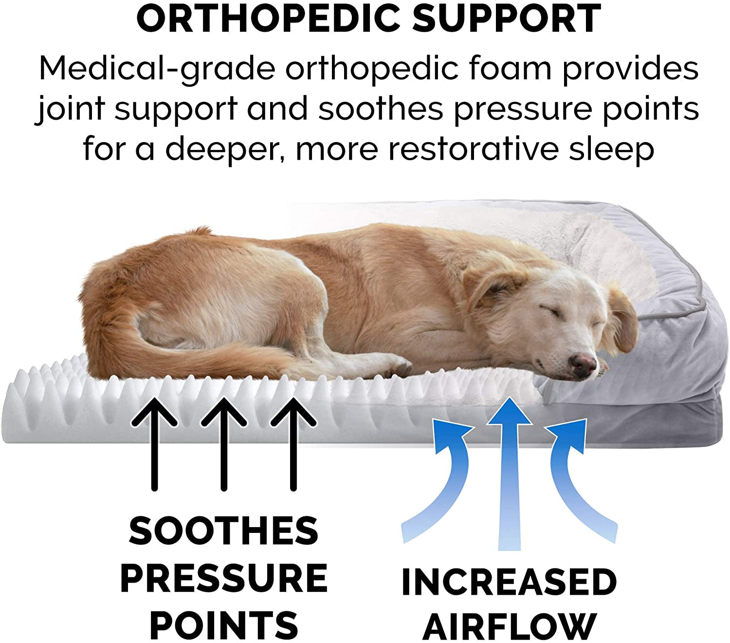 Orthopedic Foam Dog Bed with Washable Velvet Cover - Granite Gray, for Dogs up to 55 lbs - Large Size